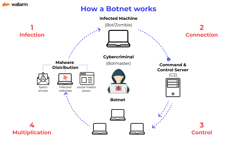 Botnet‌‌ چگونه کار ‌می‌کند؟